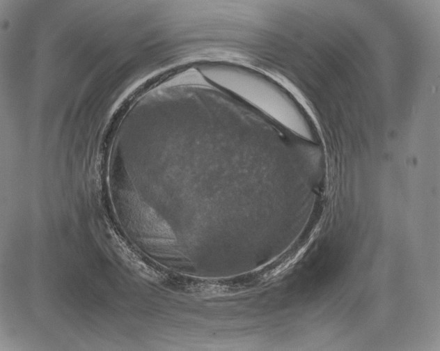 X0000080660783200612301334
