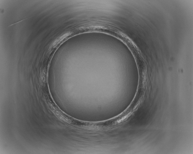 X0000080660785200612301334