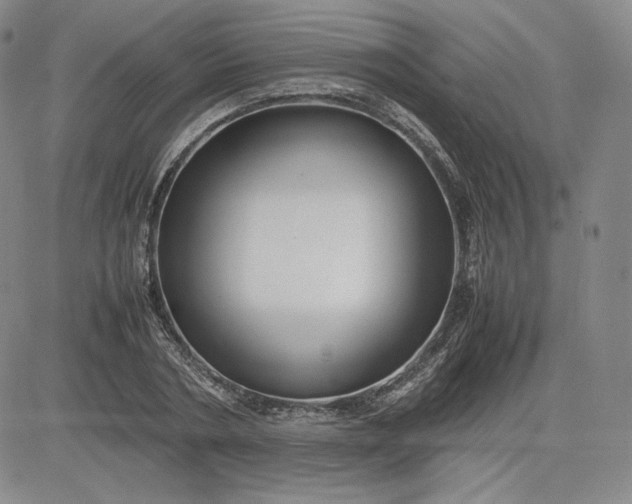 X0000080660786200612301334