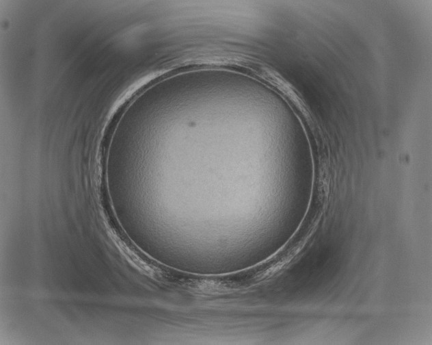 X0000080660787200612301334