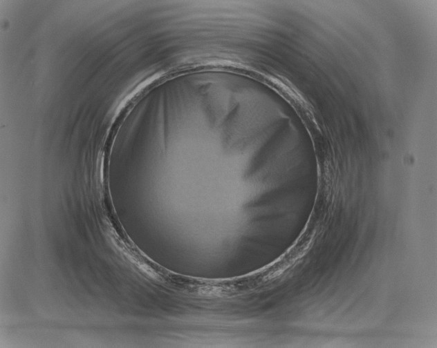 X0000080660790200612301334