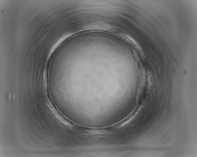 X0000080660796200612301334