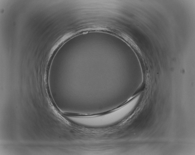 X0000080660797200612301334
