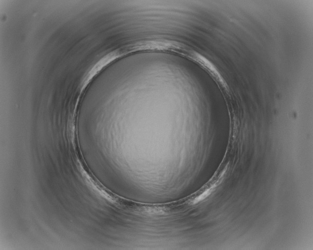 X0000080660802200612301334