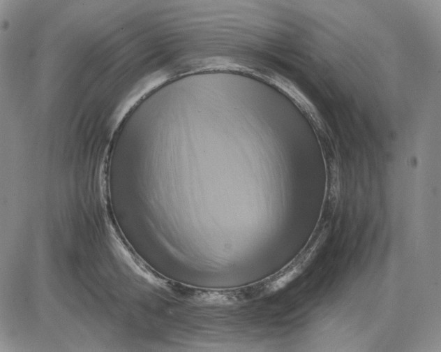 X0000080660806200612301334