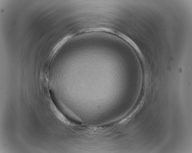 X0000080660809200612301334
