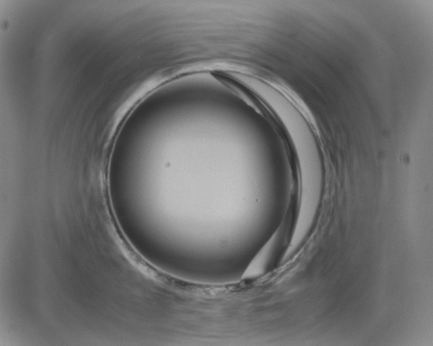 X0000080660813200612301334