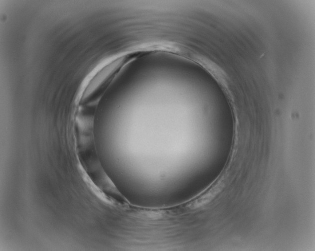 X0000080660816200612301334
