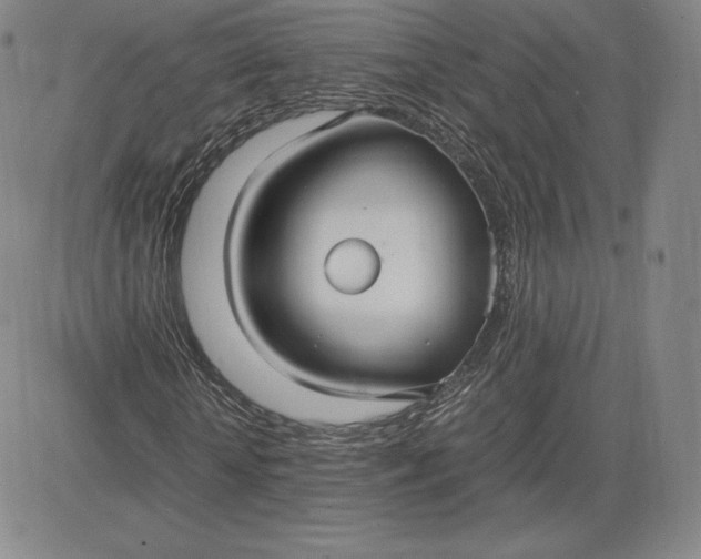 X0000080660818200612301333