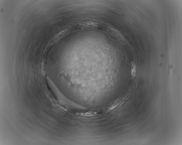 X0000080660819200612301333