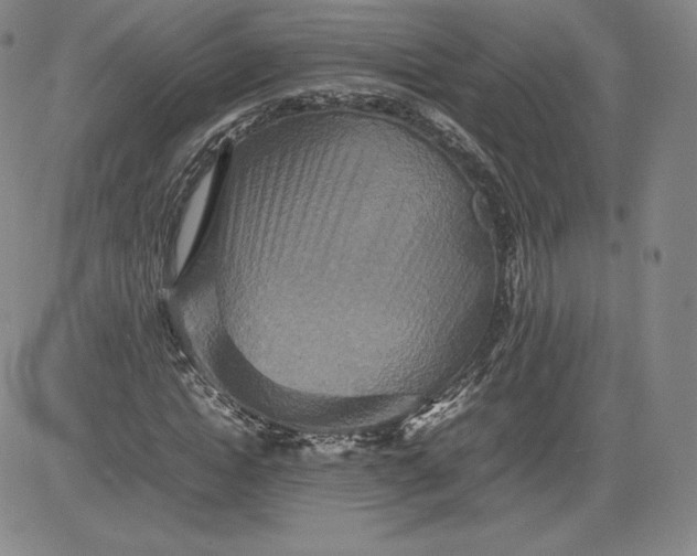 X0000080660822200612301333