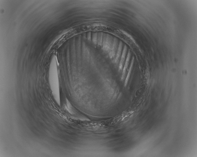 X0000080660823200612301333