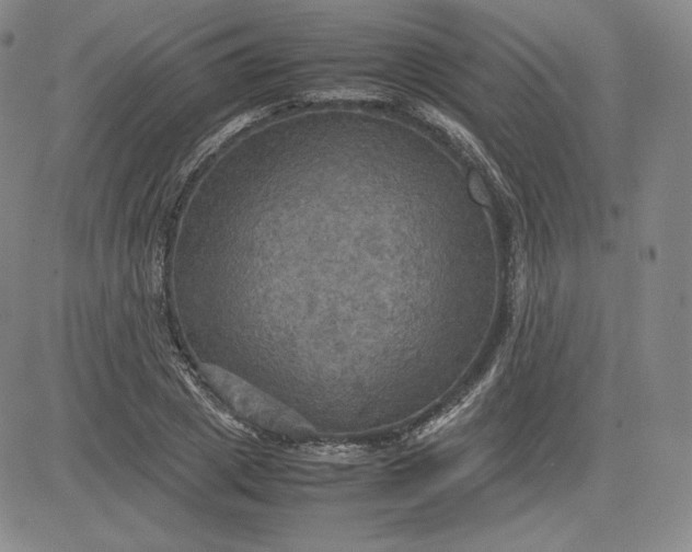 X0000080660833200612301333