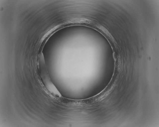 X0000080660834200612301333