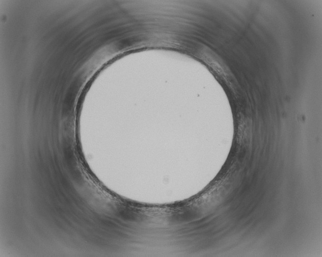 X0000080660836200612301333