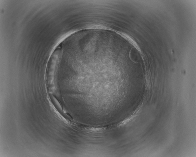 X0000080660839200612301333