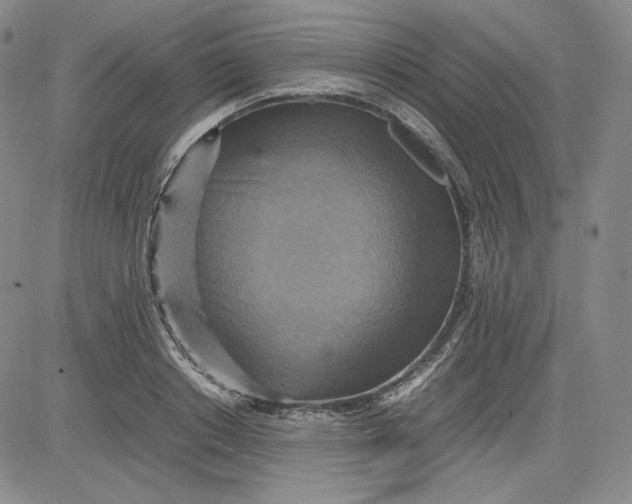 X0000080660842200612301333
