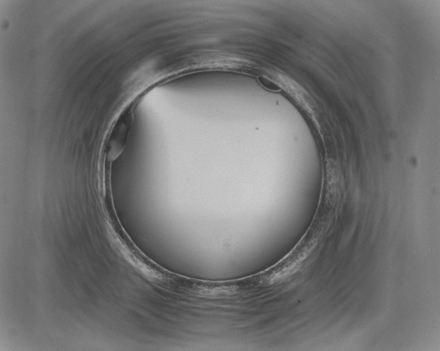 X0000080660843200612301333