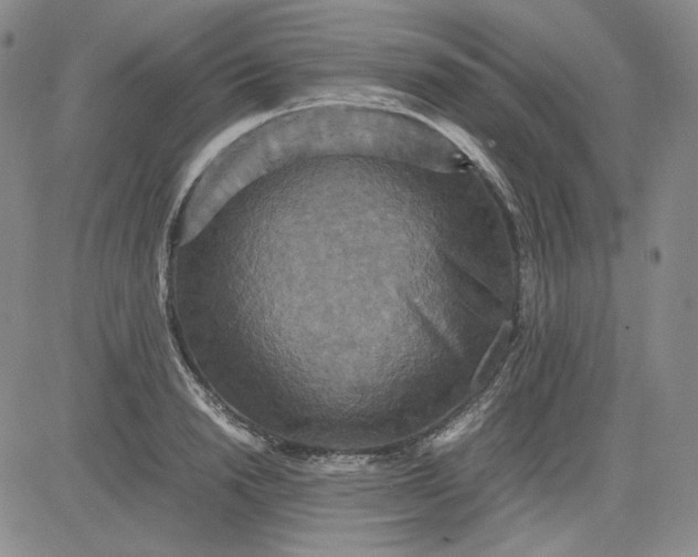 X0000080660846200612301333