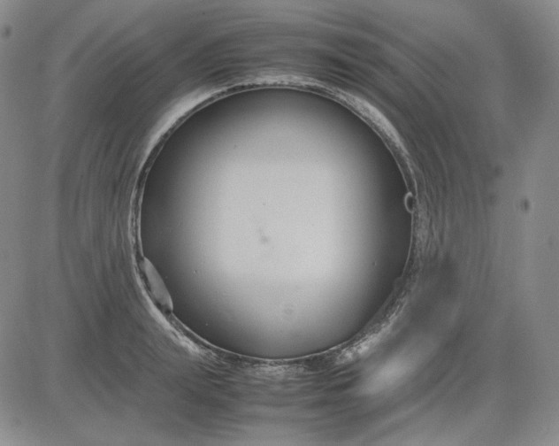X0000080660847200612301333