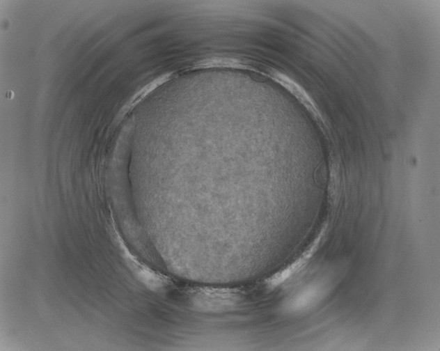 X0000080660849200612301333