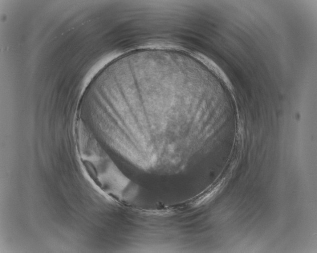 X0000080660855200612301333