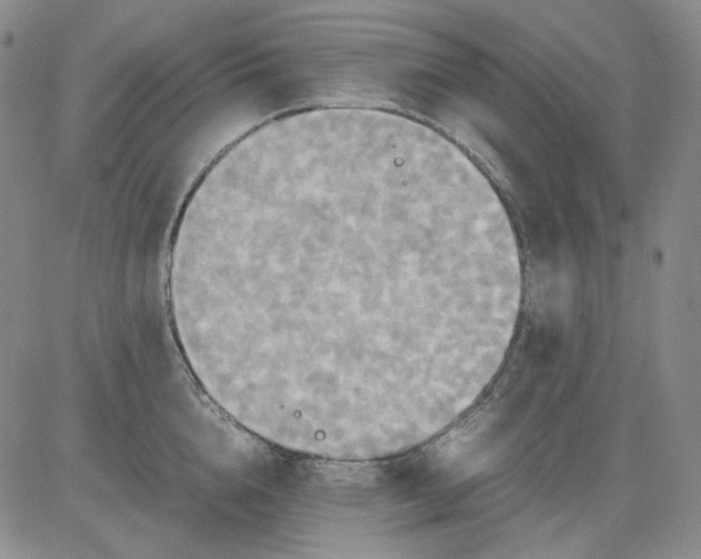X0000080660856200612301333
