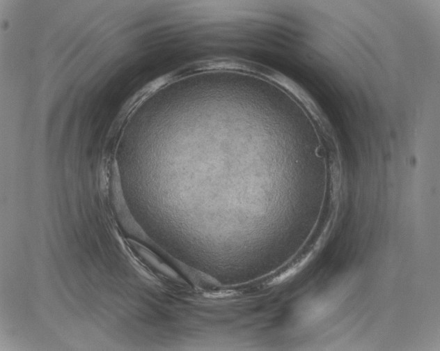 X0000080660857200612301333
