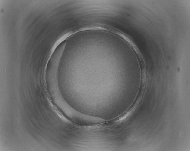 X0000080660858200612301333