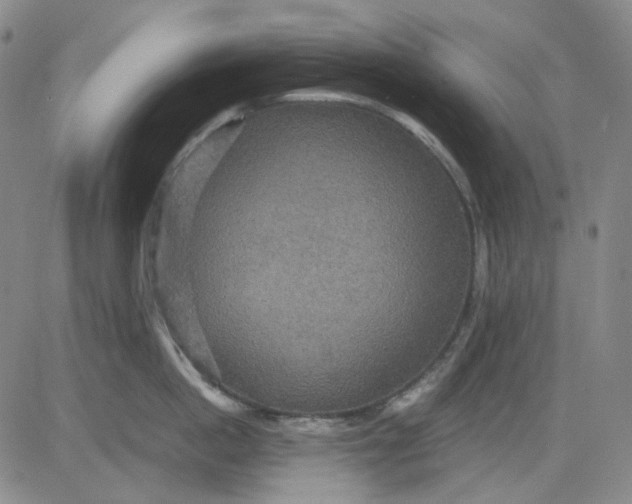X0000080660862200612301333