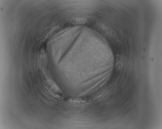 X0000080660866200612301333