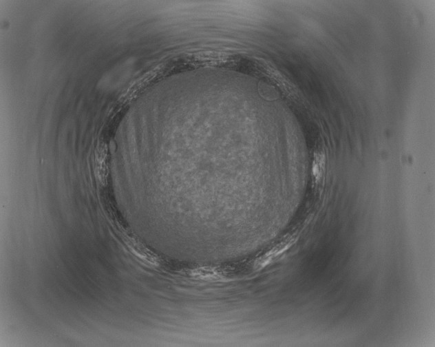 X0000080660867200612301333