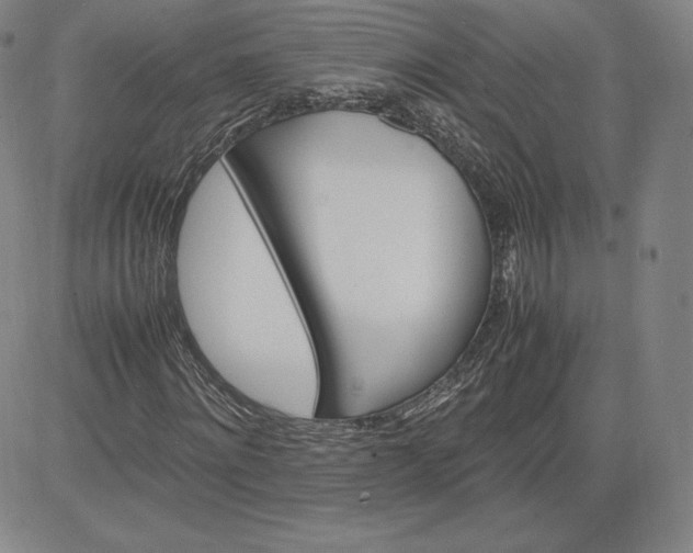 X0000080660868200612301333