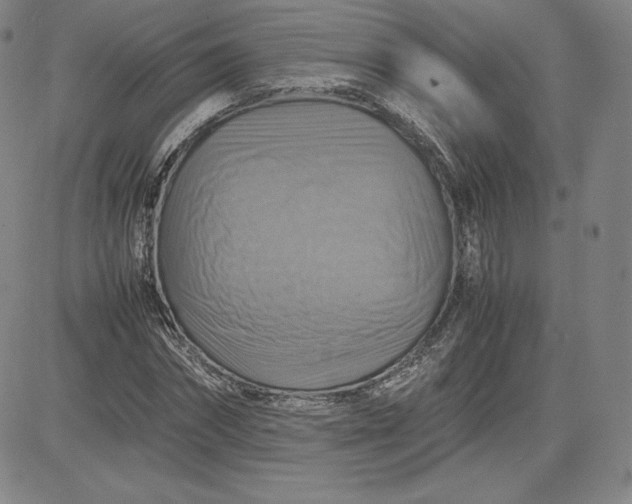 X0000080660874200612301333
