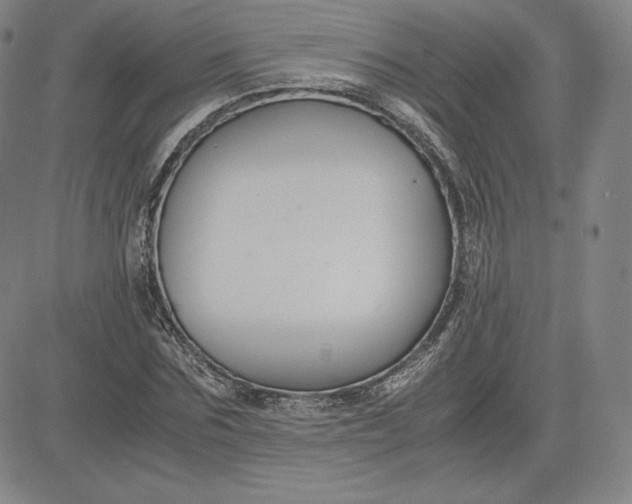 X0000080660875200612301333