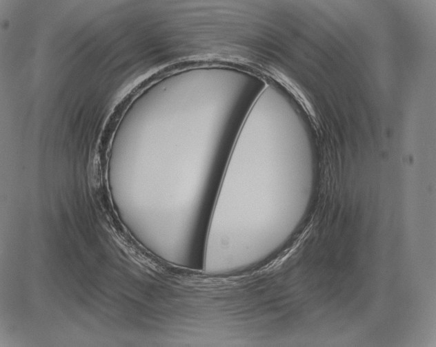 X0000080660876200612301333