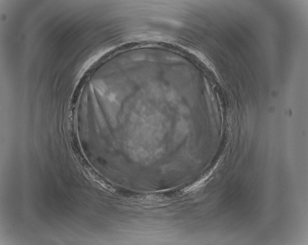 X0000080660879200612301333