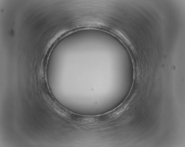 X0000080660883200612301332
