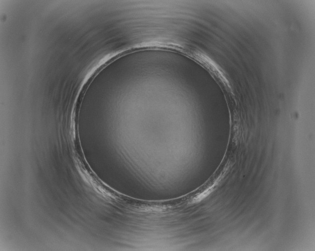 X0000080660892200612301332