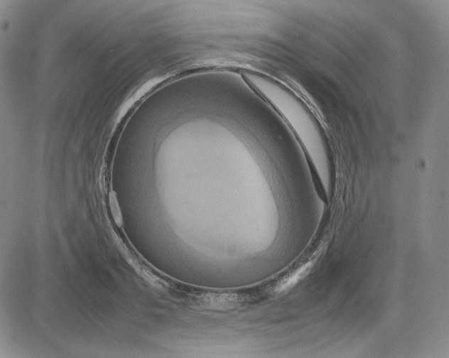 X0000080660893200612301332