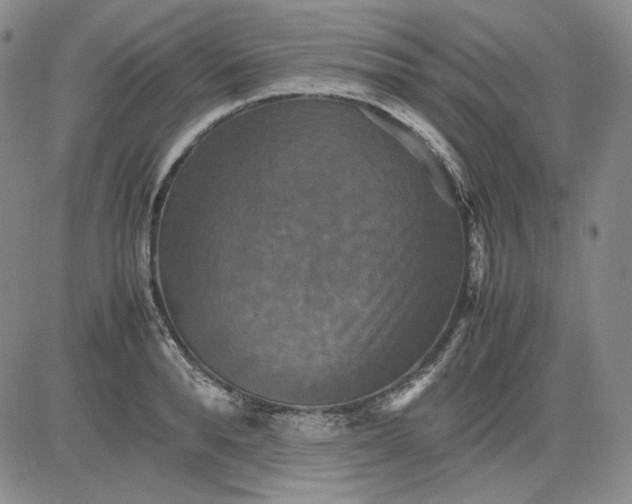 X0000080660896200612301332