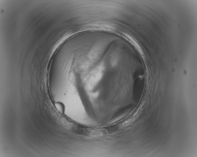 X0000080660899200612301332