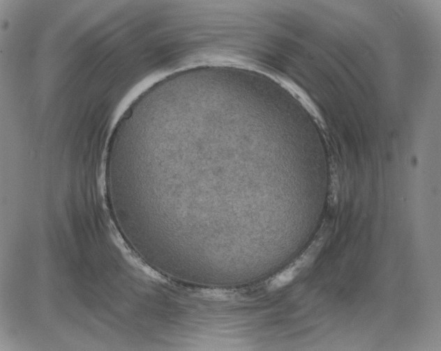 X0000080660904200612301332