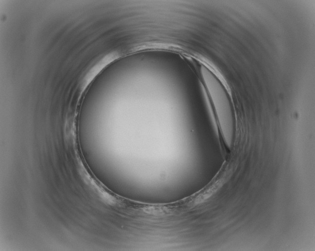 X0000080660906200612301332