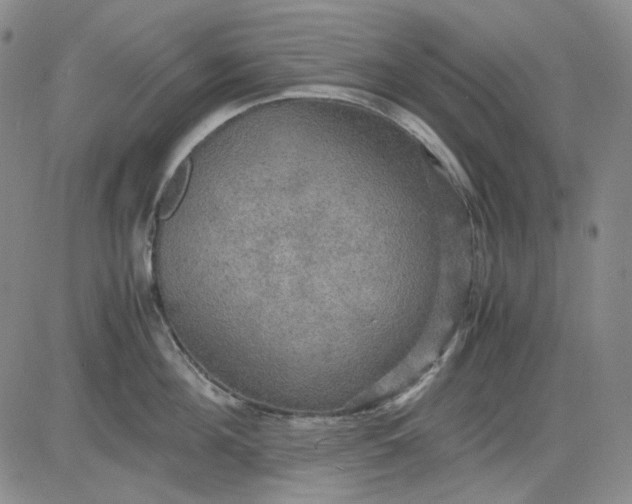 X0000080660908200612301332