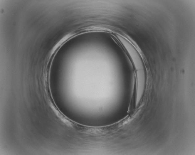 X0000080660909200612301332