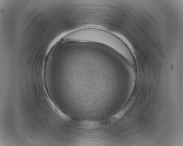 X0000080660910200612301332