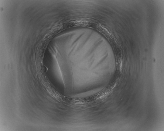 X0000080660913200612301331