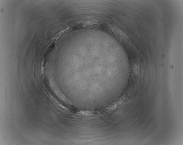 X0000080660914200612301331