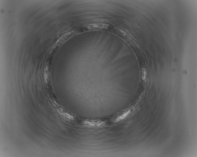 X0000080660915200612301331